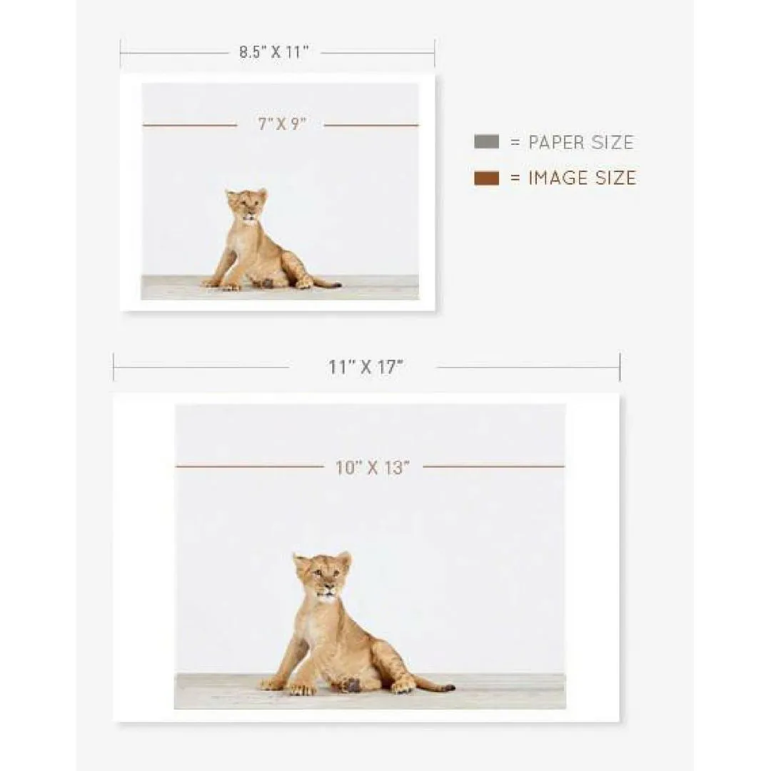 Baby Alpaca Little Darling Print