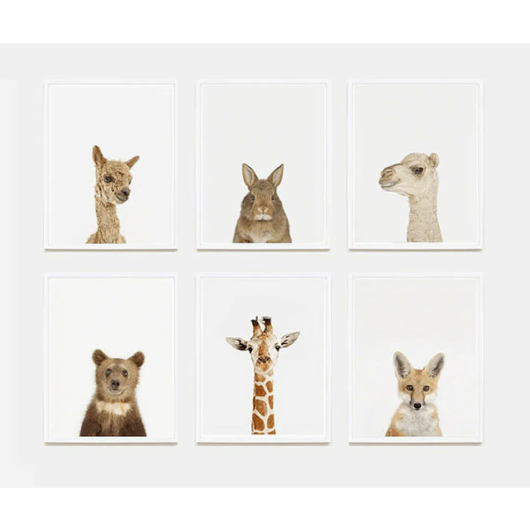 Baby Alpaca Little Darling Print