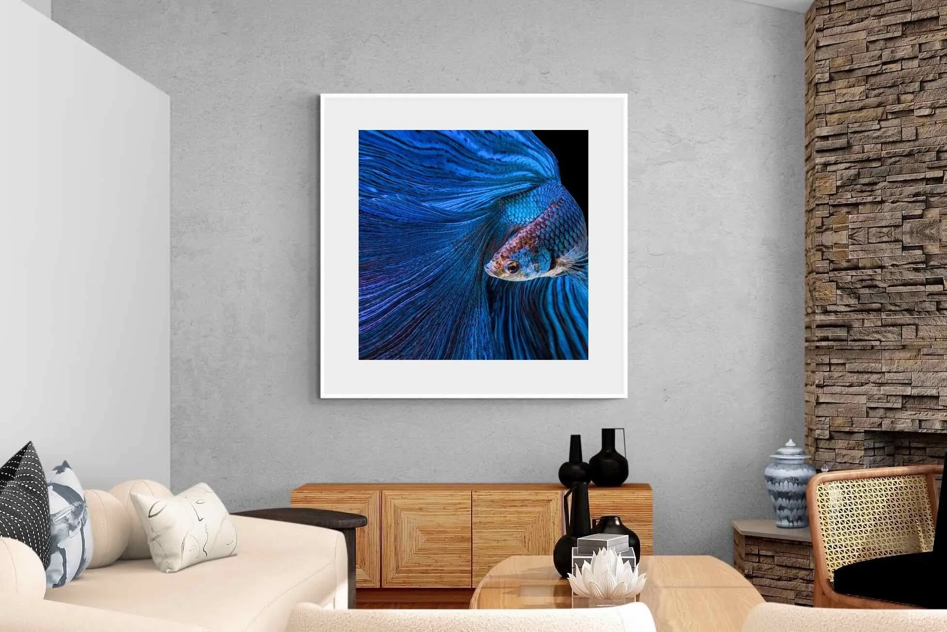 Betta Fish