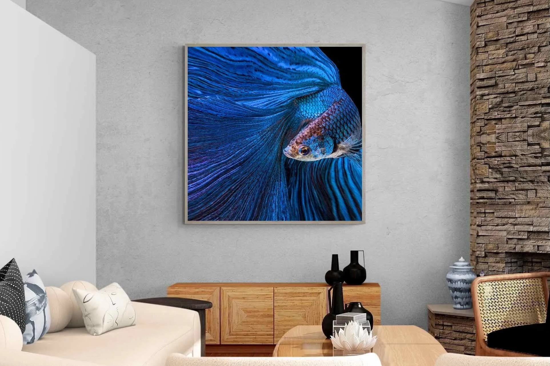 Betta Fish