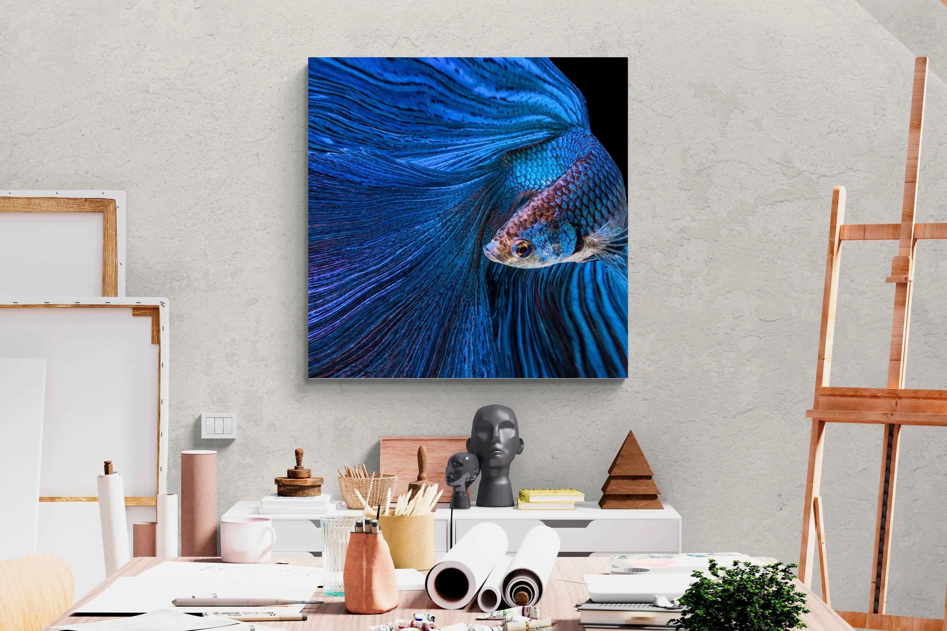 Betta Fish