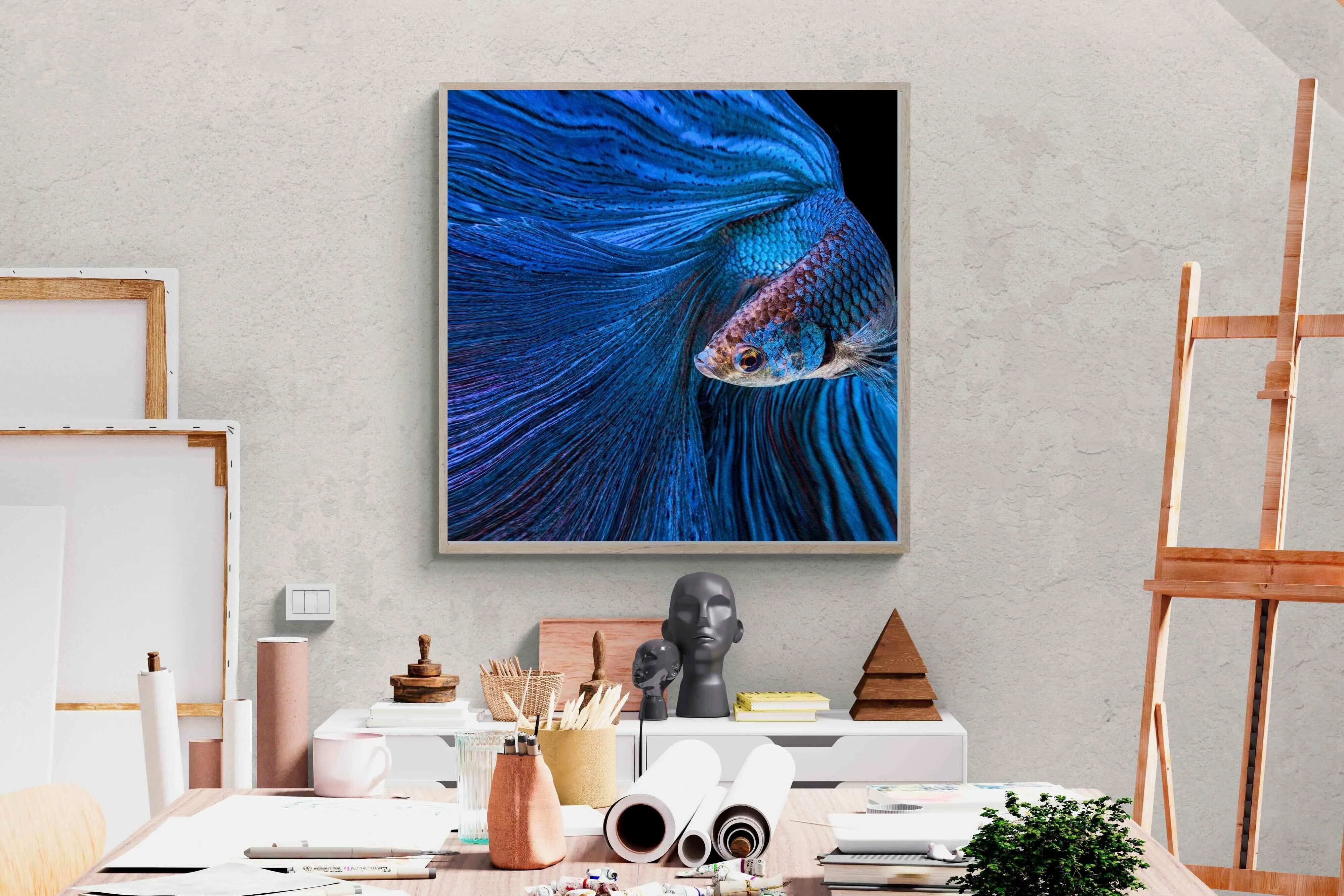 Betta Fish