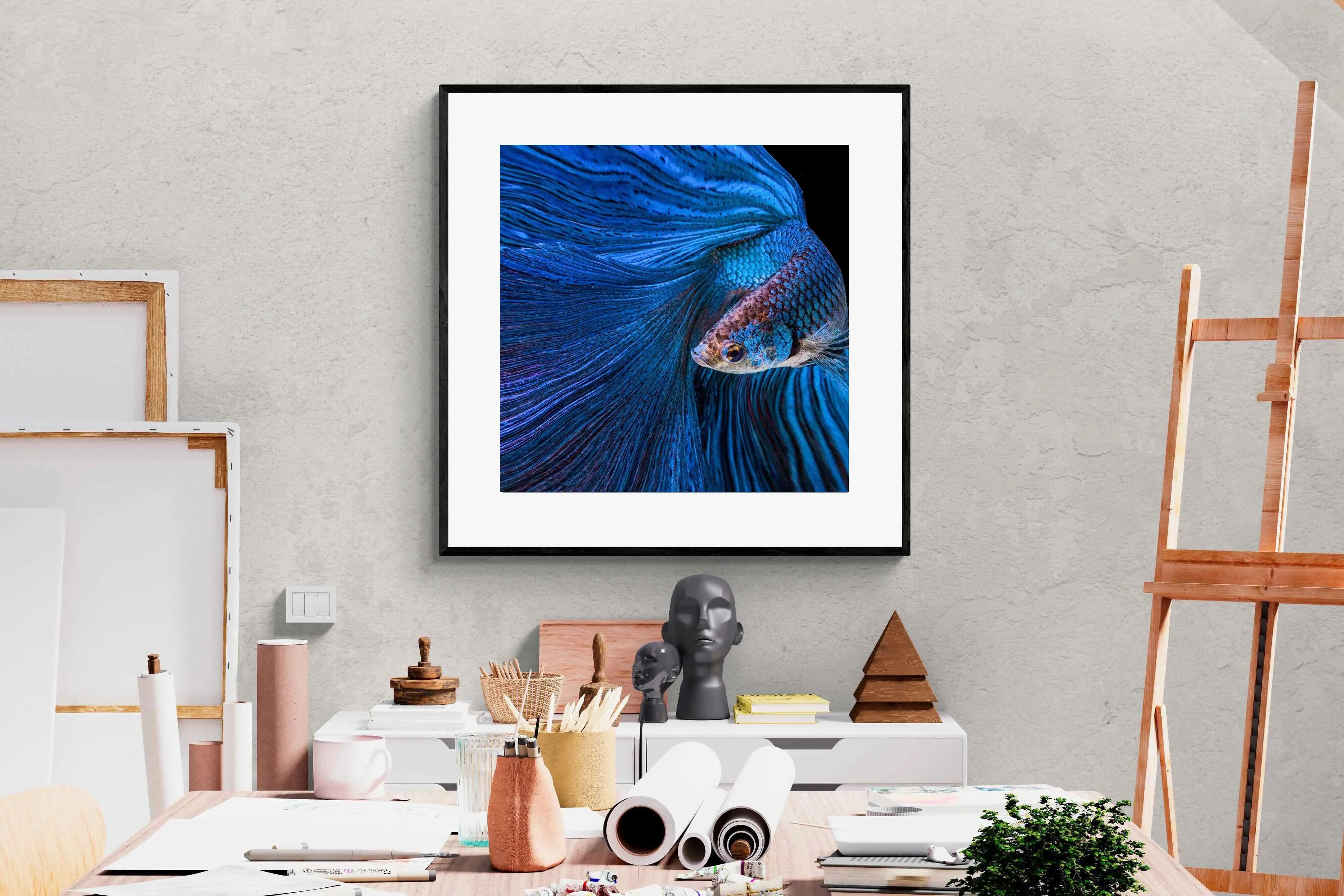 Betta Fish