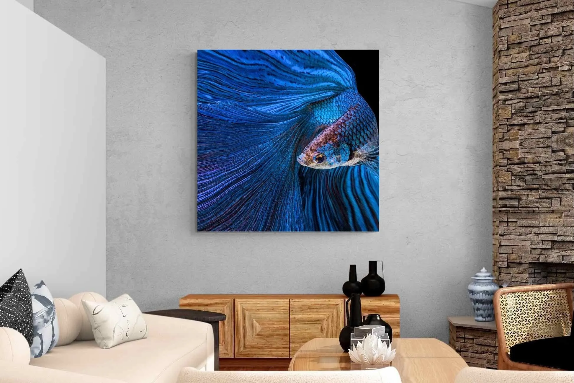 Betta Fish