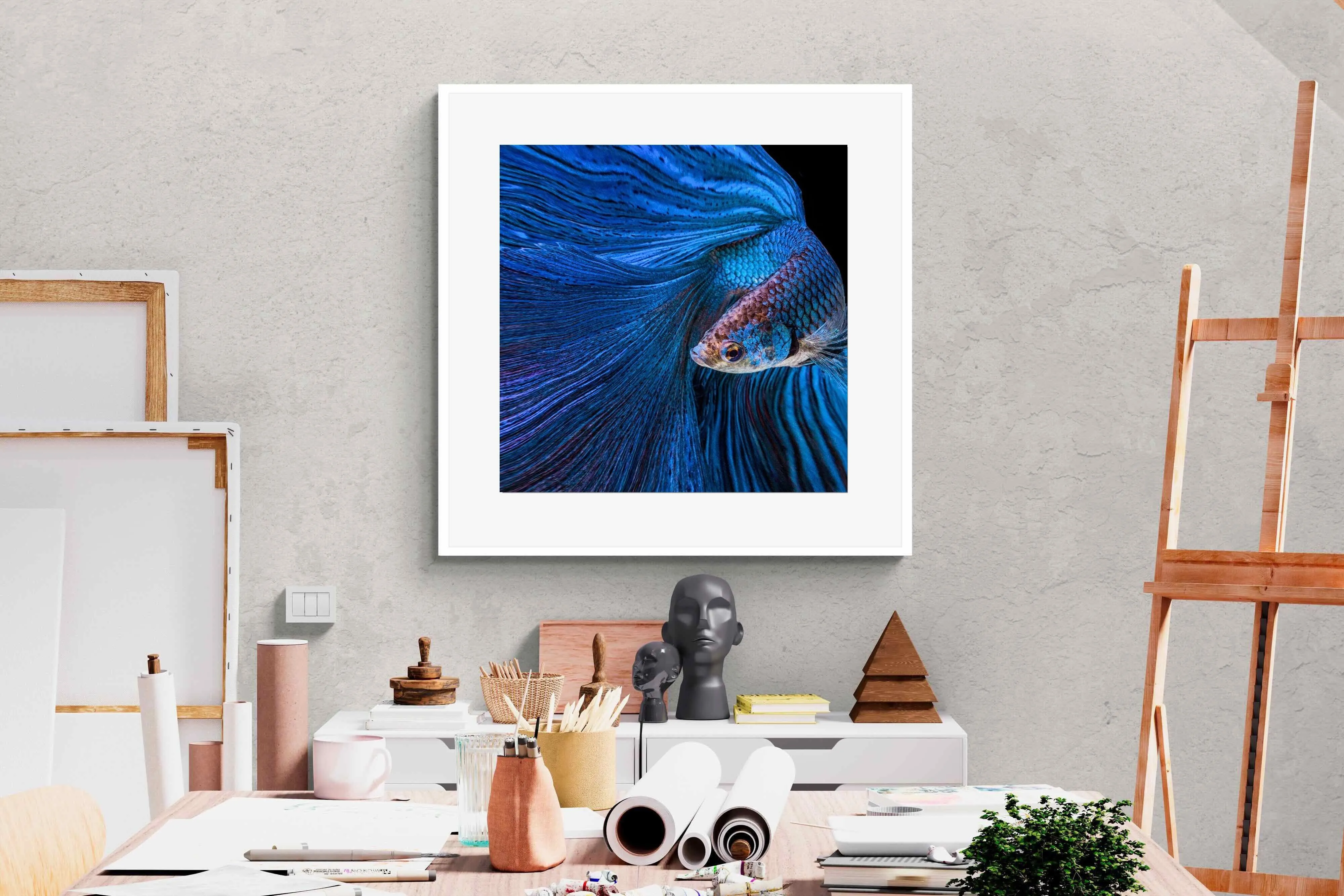 Betta Fish