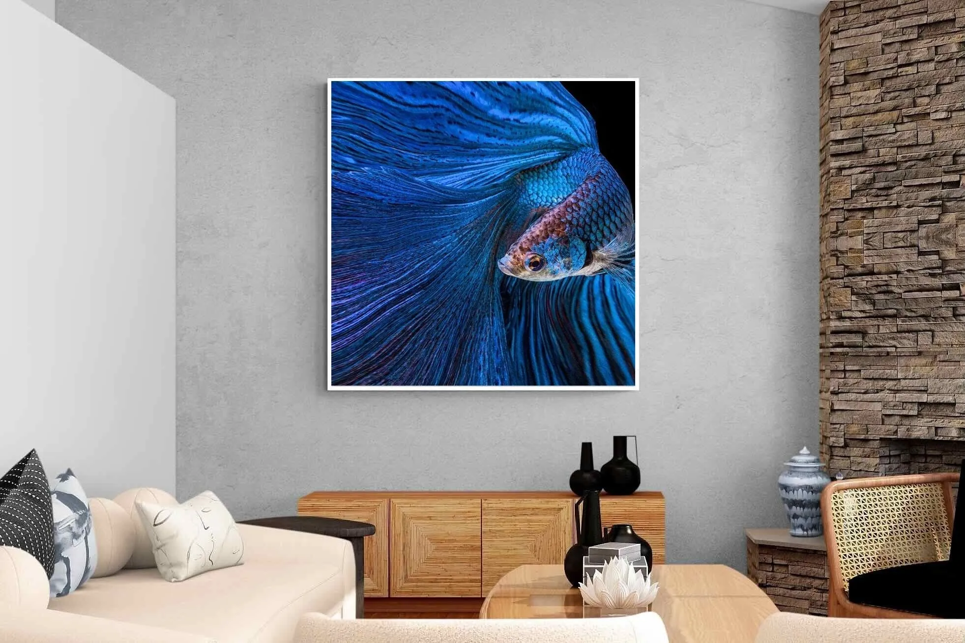 Betta Fish