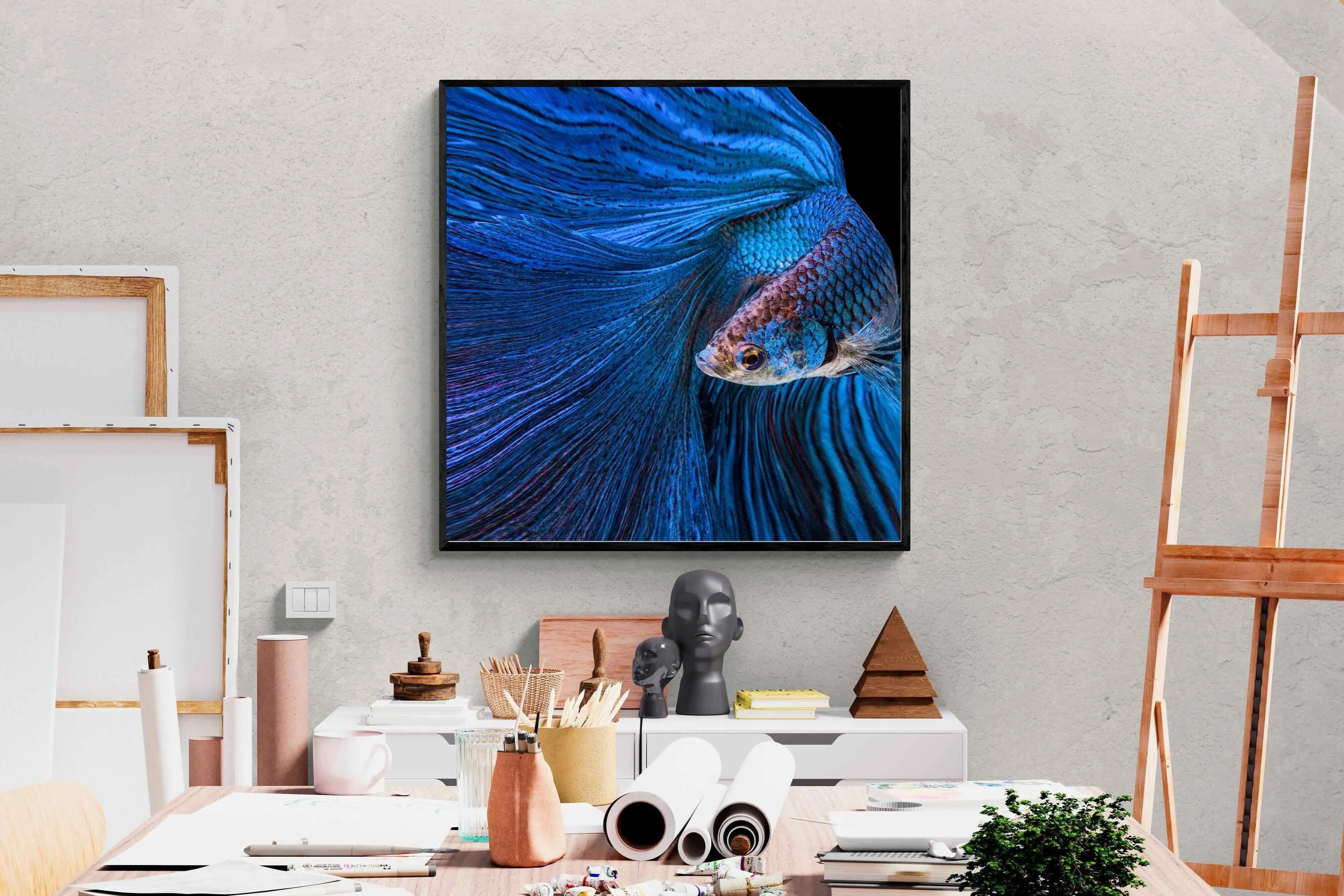 Betta Fish