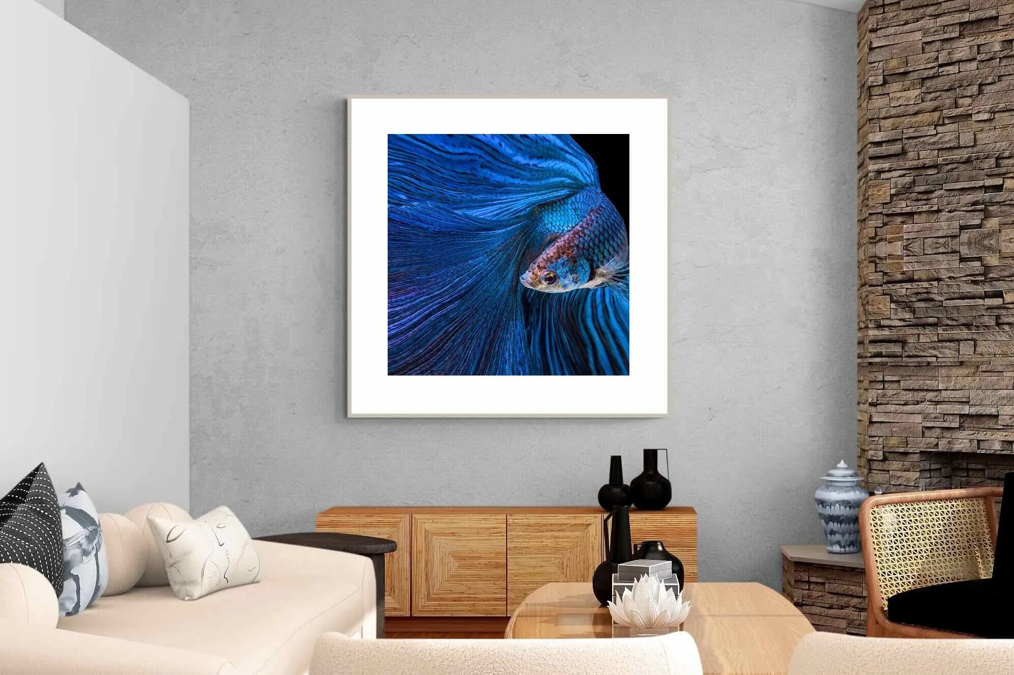 Betta Fish