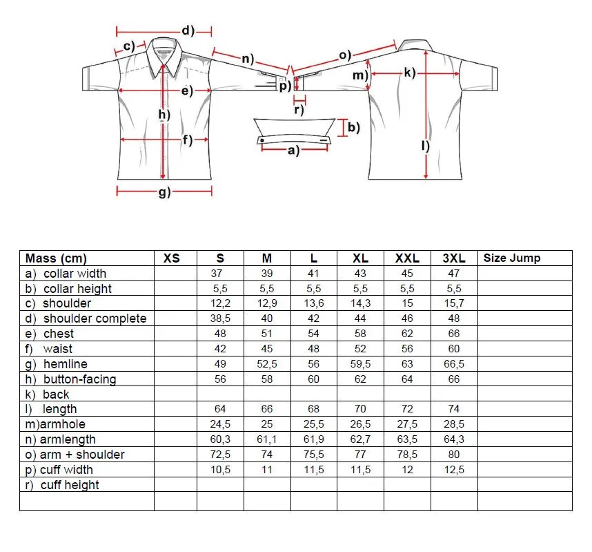 Caroline Ladies Western Blouse